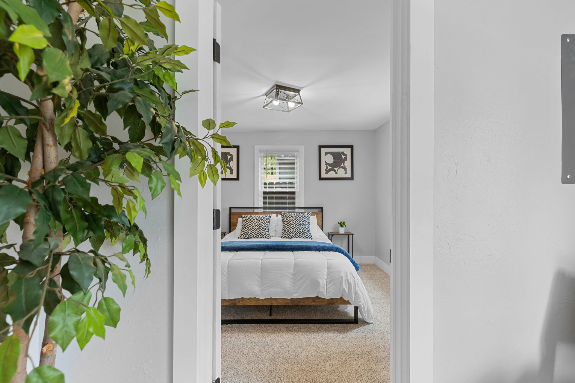 a bedroom with a bed and a plant in the corner
